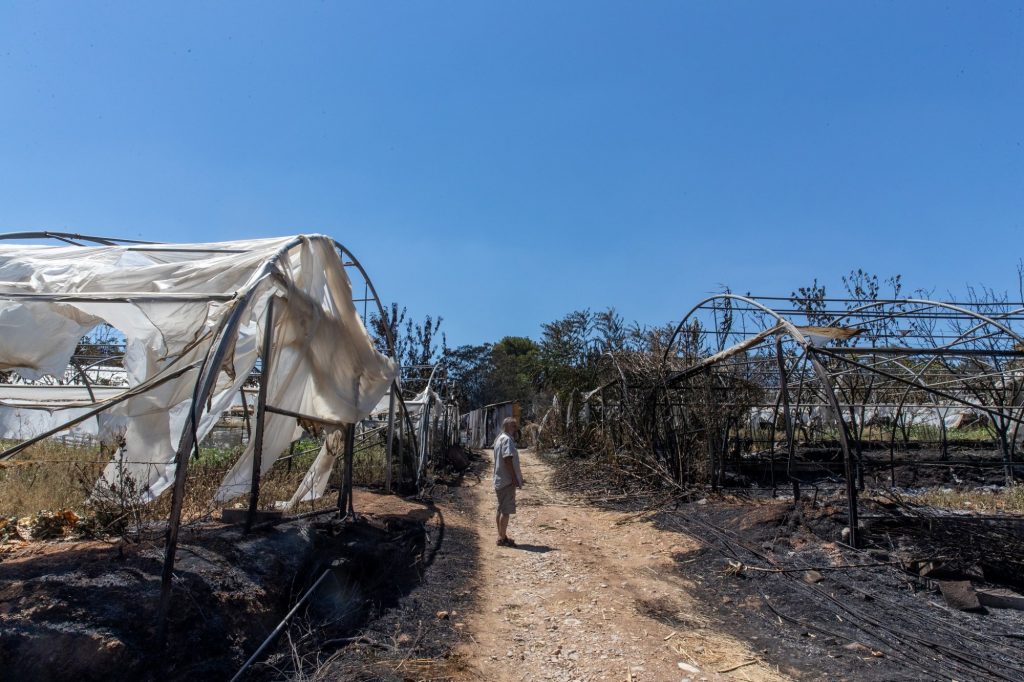 Μετά τη φωτιά: Πώς ένα οικολογικό αγρόκτημα στα Κιούρκα, παλεύει να «ξανανθίσει» μέσα από τις στάχτες