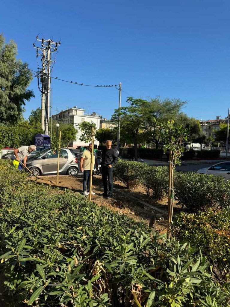 Εκατόν σαράντα νέα δένδρα στην πλατεία Αγίων Αναργύρων στην Παλαιά Κοκκινιά από τον Δήμο Πειραιά