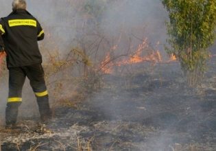 Φωτιά σε γεωργική έκταση στα Σπάτα – Επιχειρούν 2 ελικόπτερα