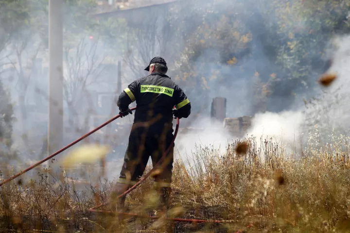 Νέα Μάκρη: Ο γνωστός γιατρός, ο άφαντος 17χρονος και οι εμπρησμοί στα γειτονικά οικόπεδα