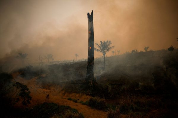 Στις φλόγες η Λατινική Αμερική – Οι φετινές πυρκαγιές έσπασαν κάθε ρεκόρ