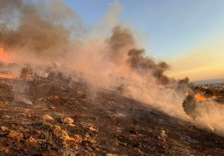 Φωτιά στην Ηλεία: Καίει στην περιοχή Εφύρα – Ισχυρές πυροσβεστικές δυνάμεις στη «μάχη» της κατάσβεσης