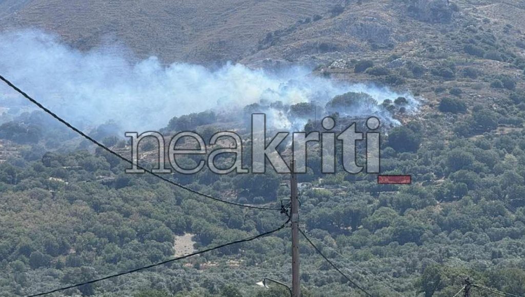 Φωτιά στο Ρέθυμνο: Καίγεται χορτολιβαδική έκταταση στην Κοξαρέ – Συναγερμός στην Πυροσβεστική