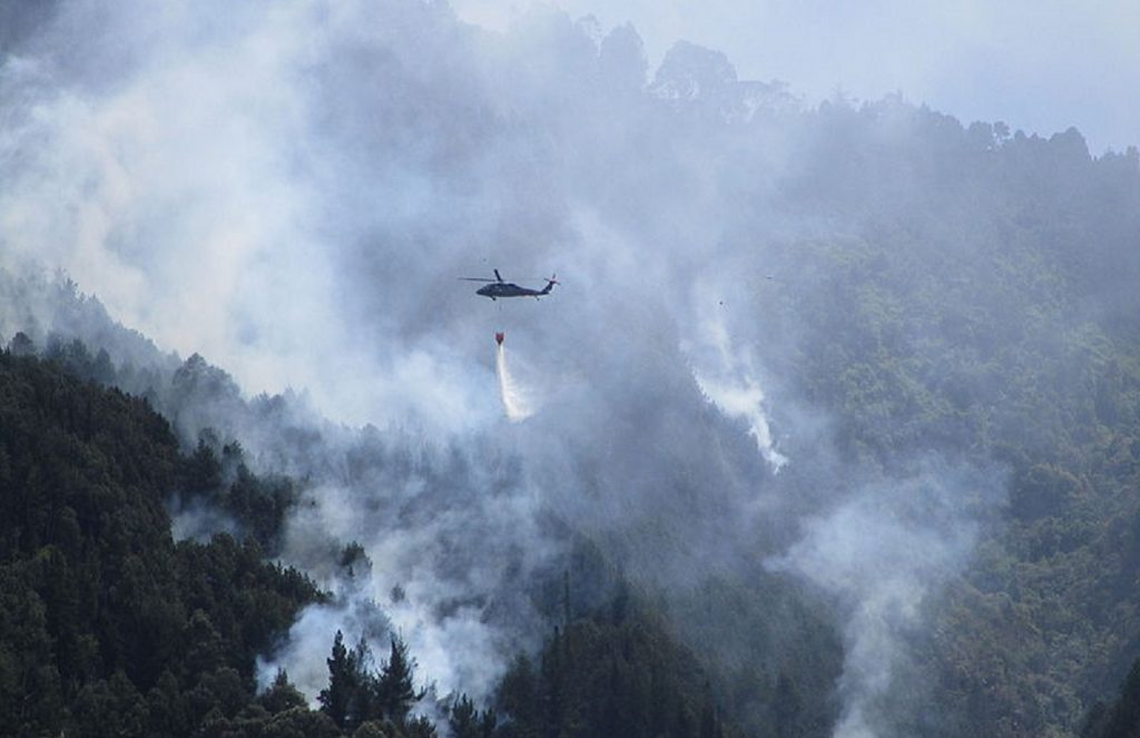 Κολομβία: Πυρκαγιές έχουν μετατρέψει σε αποκαΐδια πάνω από 90.000 στρέμματα βλάστησης