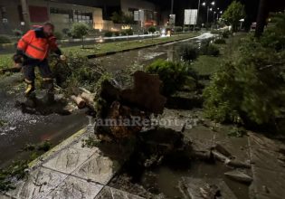 Λαμία: Μπουρίνι έριξε δέντρα, «ποτάμια» οι δρόμοι – Σε λίγα λεπτά έπεσαν 15 τόνοι νερού ανά στρέμμα