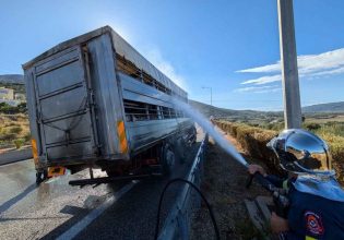 Ιονία Οδός: Φωτιά ξέσπασε σε φορτηγό που μετέφερε ζώα – Άμεση η επέμβαση της Πυροσβεστικής