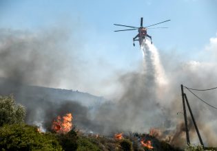 Φωτιά στην Κοζάνη: Καίγεται δασική έκταση στο Βόιο – Σηκώθηκαν ελικόπτερα