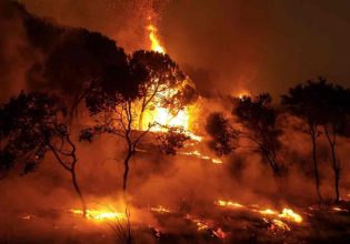 Φωτιά τώρα στην Κάρπαθο – Ήχησε το 112, μεταβαίνουν δασοκομάντος