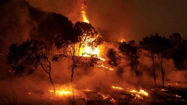 Φωτιά τώρα στην Κάρπαθο – Ήχησε το 112, μεταβαίνουν δασοκομάντος