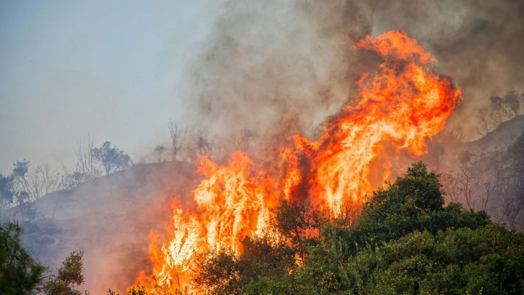 Φωτιά στους Αγίους Θεοδώρους στον Αλμυρό Βόλου – Μεγάλη κινητοποίηση της πυροσβεστικής