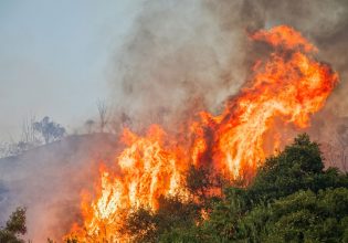 Φωτιά στους Αγίους Θεοδώρους στον Αλμυρό Βόλου – Μεγάλη κινητοποίηση της πυροσβεστικής