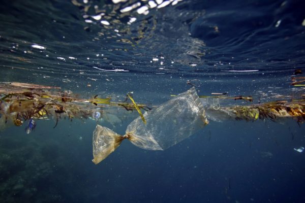 Κλιματική αλλαγή: Έντονες οι επιπτώσεις στους ωκεανούς