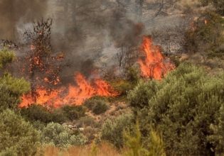 Φωτιά στην Κοζάνη – Στη «μάχη» και εναέρια μέσα