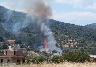 Φωτιά στη Σαλαμίνα: Επιχειρούν 12 πυροσβέστες με 5 οχήματα