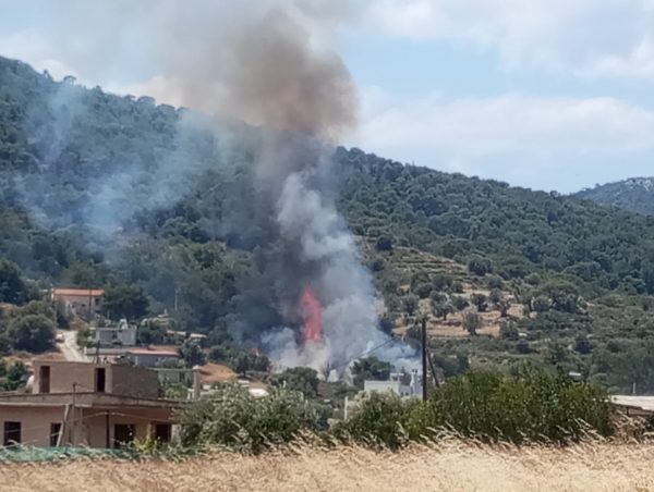 Φωτιά στη Σαλαμίνα: Επιχειρούν 12 πυροσβέστες με 5 οχήματα