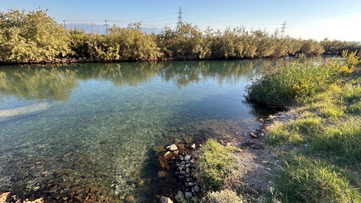 Αίτημα παραχώρησης χρήσης ιαματικών πηγών από τον Δήμο Λαμιέων