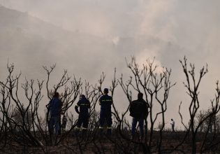 Κλιμάκια του ΕΛΓΑ στην πυρόπληκτη Κορινθία για αποτίμηση των ζημιών