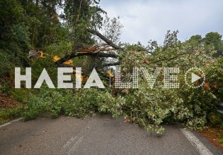 Ηλεία: Ανεμοστρόβιλος ξερίζωσε δέντρα και προκάλεσε ζημιές σε σπίτια