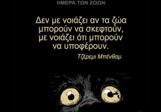 Αρκάς: Η «Καλημέρα» της Παρασκευής για την Παγκόσμια Ημέρα Ζώων