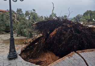 Κακοκαιρία: Καταστροφές και πτώσεις δέντρων από την ισχυρή καταιγίδα που χτύπησε στον Ασπρόπυργο