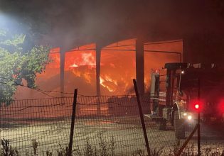 Λάρισα: Σε εξέλιξη η κατάσβεση φωτιάς που ξέσπασε σε εκκοκκιστήριο