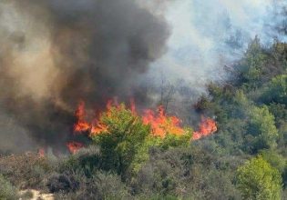 Φωτιά στην Ηλεία – Σοβαρός τραυματισμός πυροσβέστη στο Γεράκι Αμαλιάδας