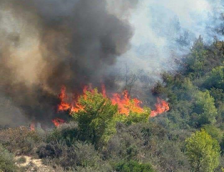 Φωτιά στην Ηλεία – Σοβαρός τραυματισμός πυροσβέστη στο Γεράκι Αμαλιάδας