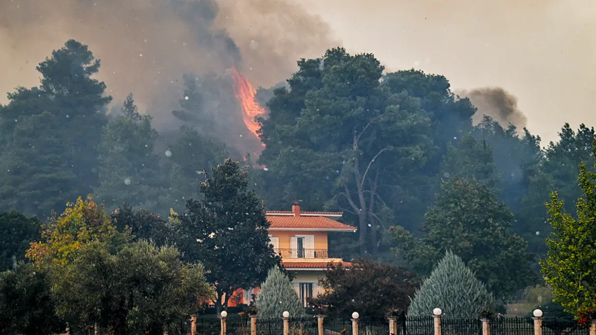 Ηλεία: Ανεξέλεγκτη η φωτιά στο Γεράκι Αμαλιάδας – Δύο νέα πύρινα μέτωπα στην περιοχή – Έκτακτη σύσκεψη Κικίλια