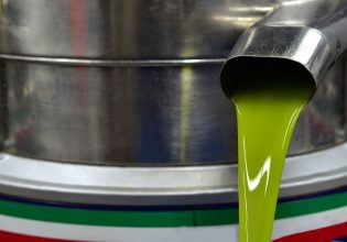 Olive Oil: First Contract of the Year at €10.20 per Kilo