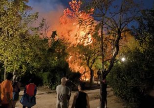 Φωτιά στο άλσος στο Πεδίο του Άρεως