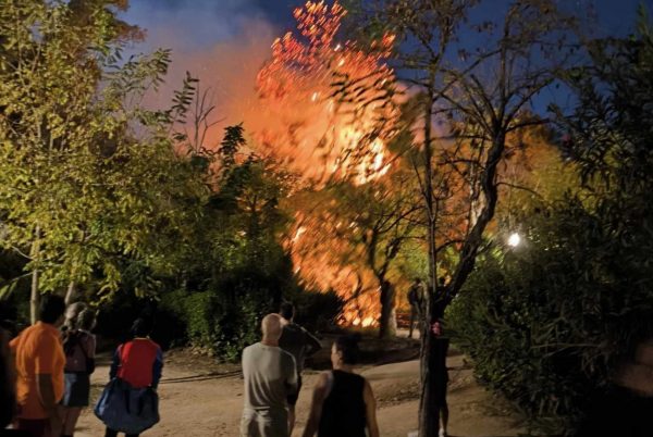 Φωτιά στο άλσος στο Πεδίο του Άρεως