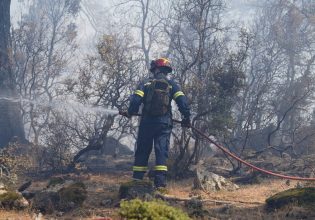 Φωτιά στις Σέρρες: Πυρκαγιά ξέσπασε σε δασική έκταση – Μεγάλη κινητοποίηση της Πυροσβεστικής