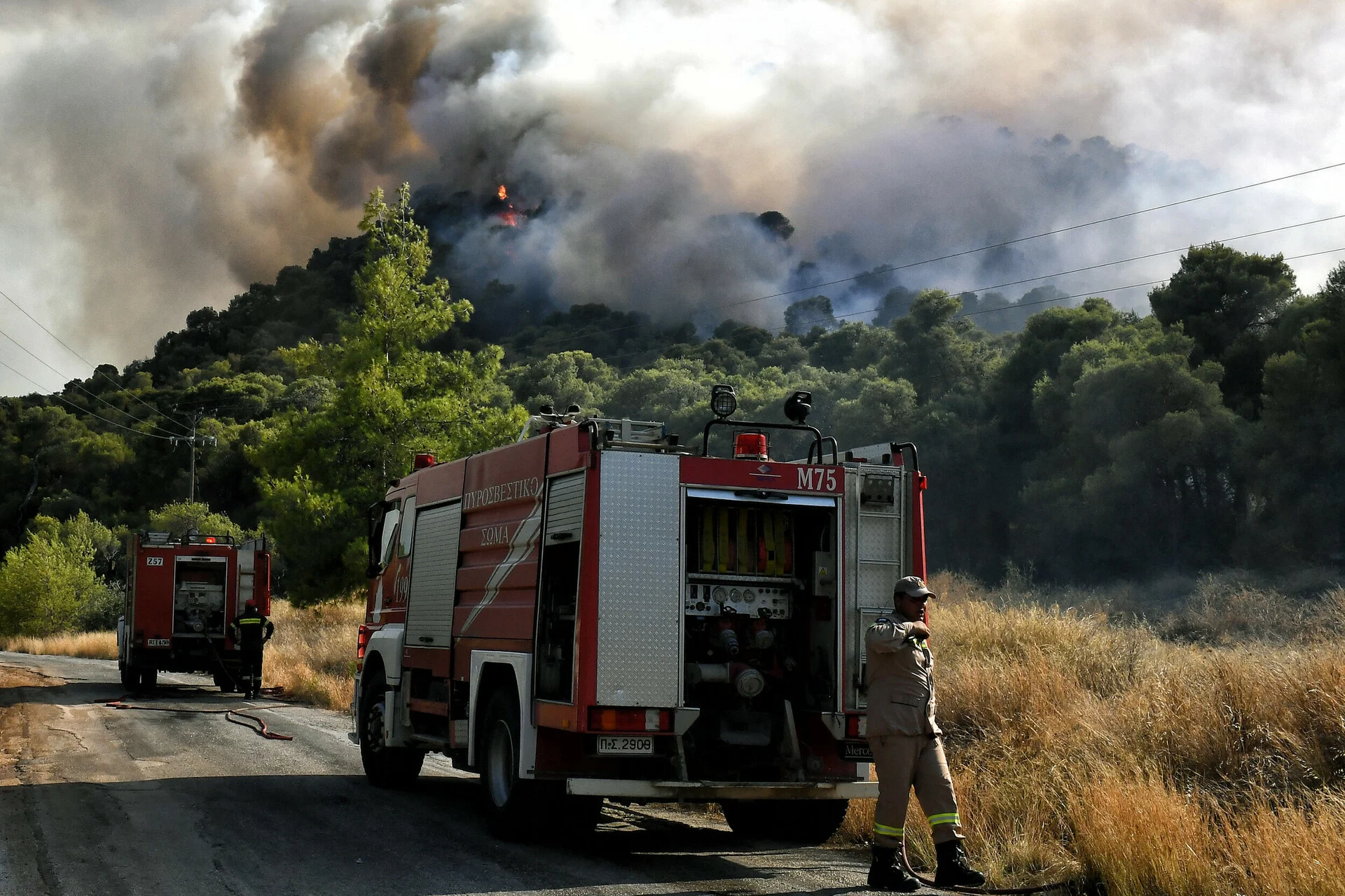 Φωτιά τώρα στην Ηλεία: Ήχησε το 112 – Εκκενώστε προς Αμαλιάδα