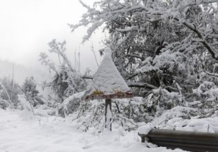 Ελλάδα: Ψηλά στις προτιμήσεις των ταξιδιωτών και τον χειμώνα – Η σύγκριση με Ευρώπη [Γραφήματα]