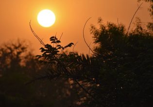 Τα ζώδια σήμερα: Όλα καλά, όλα ανθηρά