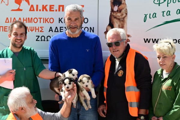 ΔΙ.ΚΕ.Π.Α.Ζ: Το έγγραφο για την ευθανασία δύο μη επιθετικών σκύλων – Το τέχνασμα για την υιοθεσία τους