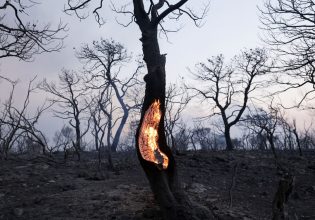 Κλιματική αλλαγή: Το 98% των Ελλήνων θεωρεί ότι χρειάζονται άμεσα μέτρα