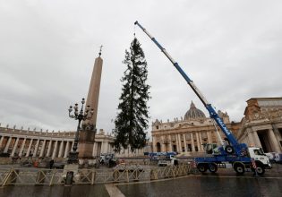 Βατικανό: Κάπως… ταλαιπωρημένο είναι το φετινό χριστουγεννιάτικο δέντρο