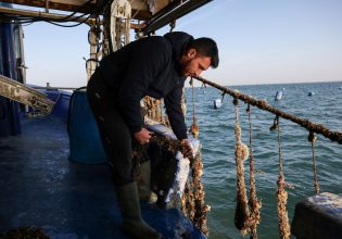 Τι θα βγει «εκτός μενού» για την Ελλάδα; – Κινδυνεύει το σύστημα εφοδιασμού τροφίμων από την κλιματική αλλαγή