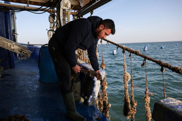 Τι θα βγει «εκτός μενού» για την Ελλάδα; – Κινδυνεύει το σύστημα εφοδιασμού τροφίμων από την κλιματική αλλαγή