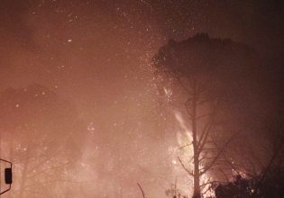 Φωτιά στο Βουπράσιο Αχαΐας: Ενισχύθηκαν οι δυνάμεις – Στη μάχη και αεροσκάφη