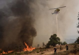 Φωτιά στη Χαλκιδική – Μήνυμα του 112 για εκκένωση