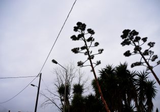 Καιρός: Συνεχίζονται οι βροχές και οι καταιγίδες – Πού θα δούν χιόνι