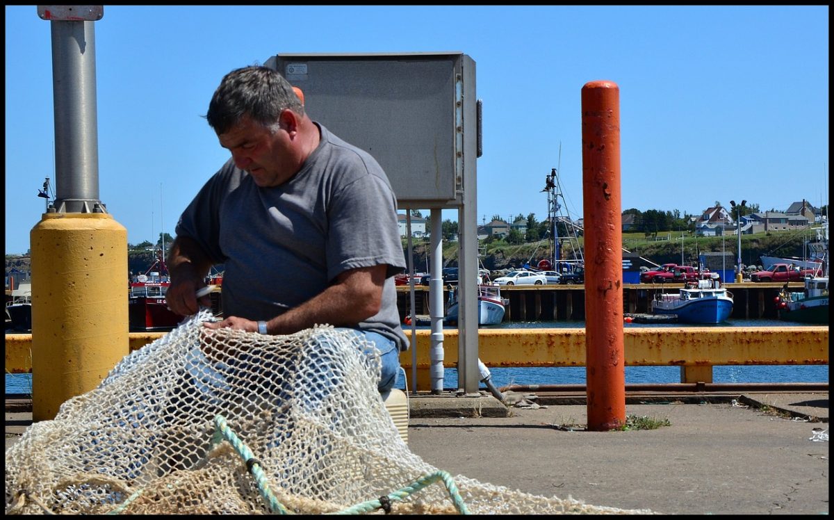 ΕΕ: Στα 3,3 εκατ. τόνους τα ευρωπαϊκά αλιεύματα το 2023