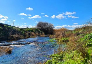 Αττικόψαρο: Φταίει ένα ψαράκι για το μπλοκάρισμα των αντιπλημμυρικών έργων στην Αττική;