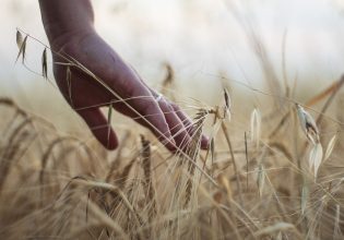 ΕΕ: Ποιοι κατέχουν τη μερίδα του λέοντος στην αγροτική παραγωγή