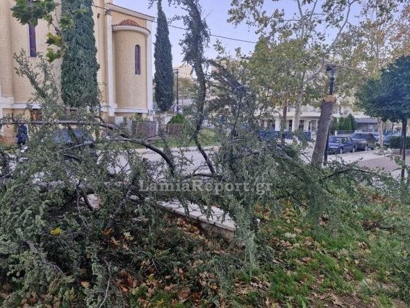 Εικόνα που δείχνει πεσμένο δέντρο πίσω από την εκκλησία του Αγίου Αθανασίου στη Λαμία