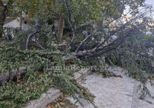 Φθιώτιδα: Ισχυροί άνεμοι ξερίζωσαν δέντρα και ξήλωσαν τέντες – Σοβαρές ζημιές σε σκάφη