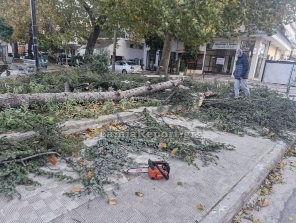 Εικόνα που δείχνει συνεργεία του δήμου επί το έργον για την απομάκρυνση των δέντρων που έπεσαν στη Λαμία