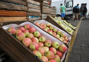 Υγεία: «Ένα μήλο την ημέρα, τον γιατρό τον κάνει πέρα» – Όμως… ισχύει;